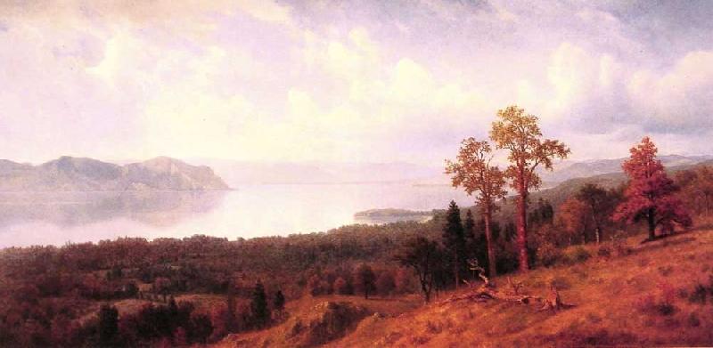 Albert Bierstadt View of the Hudson Looking Across the Tappan Zee-Towards Hook Mountain oil painting image